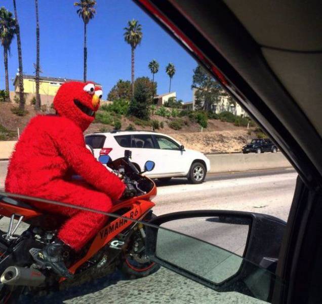 Daily Picdump