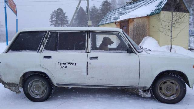 Daily Picdump