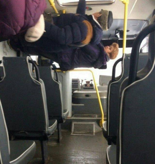 Daily Picdump