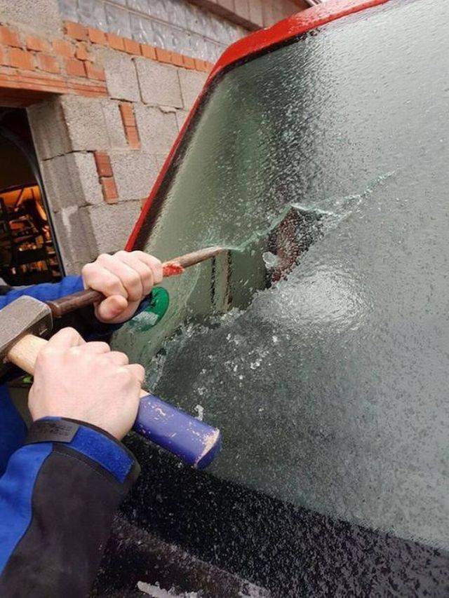 Daily Picdump