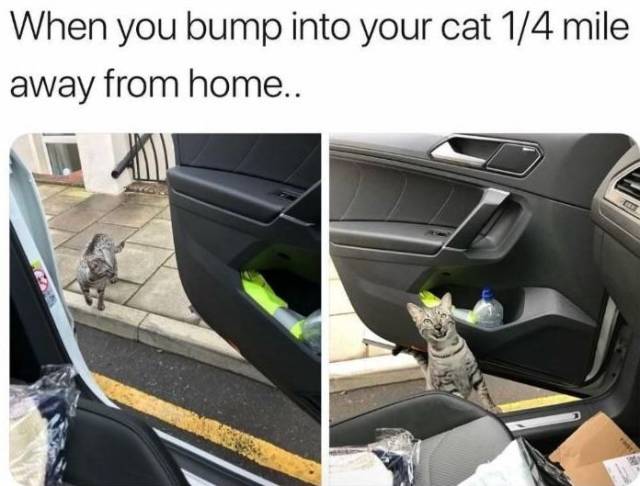 Daily Picdump [WEEKEND EDITION]