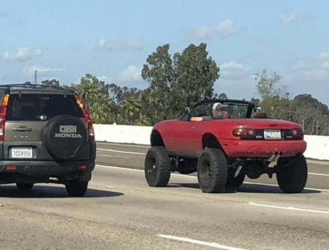 Owners Of These Cars Are Trying Too Hard To Be Different
