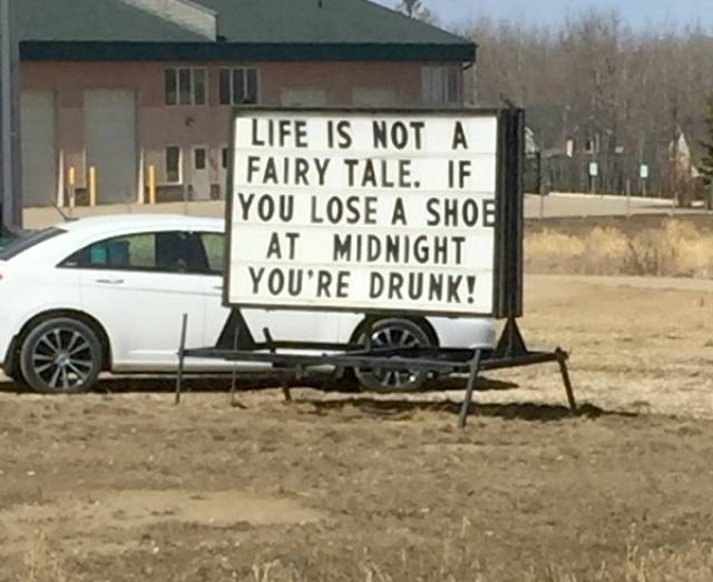 Daily Picdump [WEEKEND EDITION]