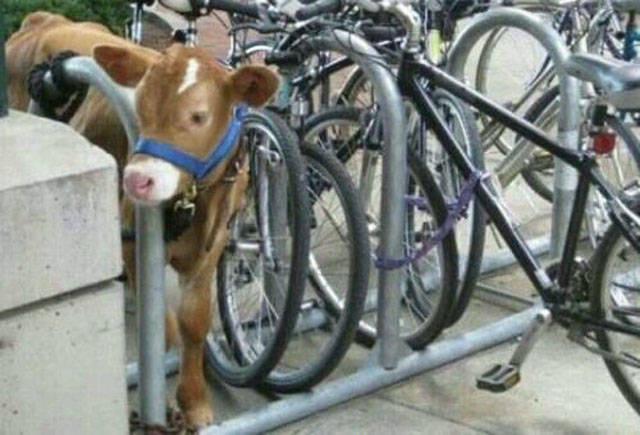 A Single Photo Is Enough To Sum Up Just About Any US State