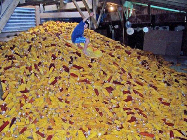 A Single Photo Is Enough To Sum Up Just About Any US State