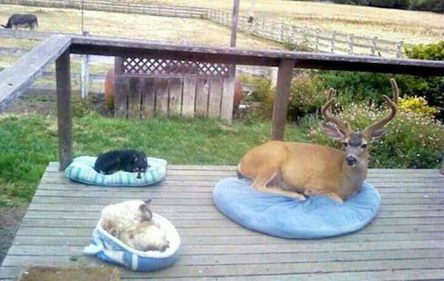 A Single Photo Is Enough To Sum Up Just About Any US State