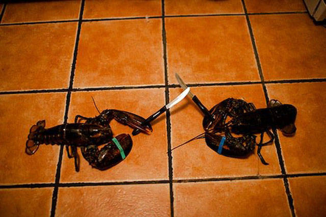 A Single Photo Is Enough To Sum Up Just About Any US State