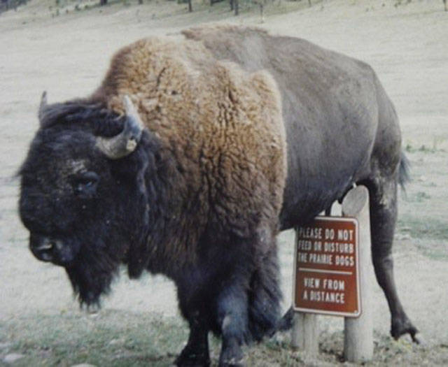 A Single Photo Is Enough To Sum Up Just About Any US State