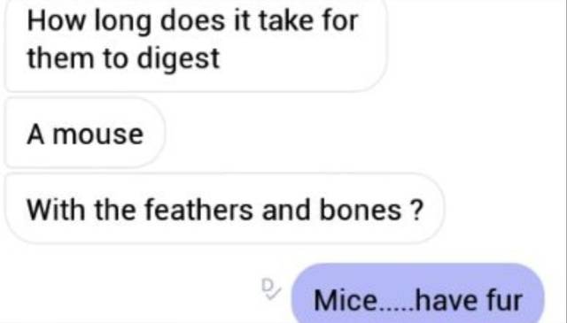 Cringe Is All Over The Place…