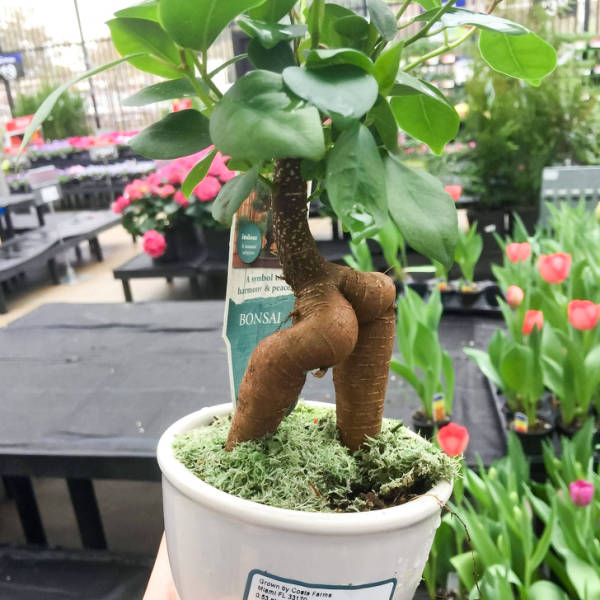 Internet Is A Never-Ending Source Of Hilarious Photoshop Battles!