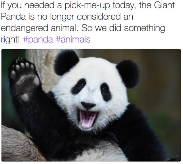 Memes to Amuse Your Tired Mind