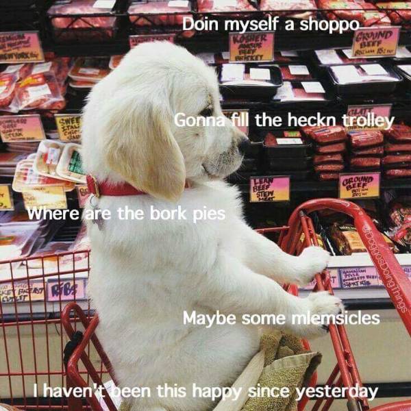 Memes to Amuse Your Tired Mind