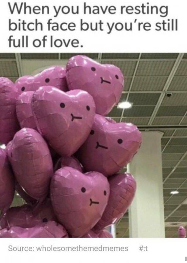 Memes to Amuse Your Tired Mind