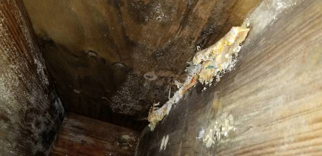 When You Discover What Was Holding Your House All This Time When You Discover What Was Holding Your House All This Time