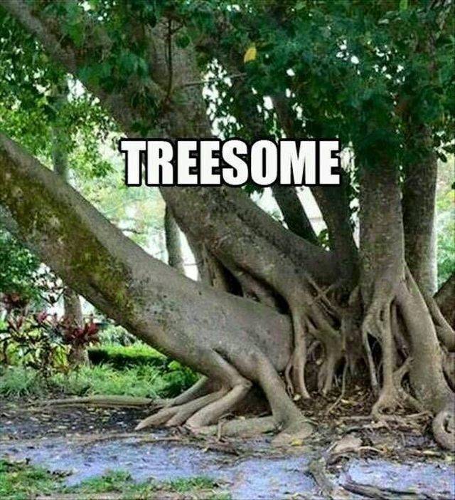 Dirty Mind, Come Here!