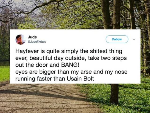 Don’t Sneeze On These Allergy Season Memes