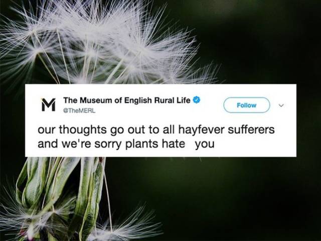 Don’t Sneeze On These Allergy Season Memes