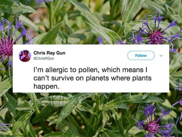 Don’t Sneeze On These Allergy Season Memes