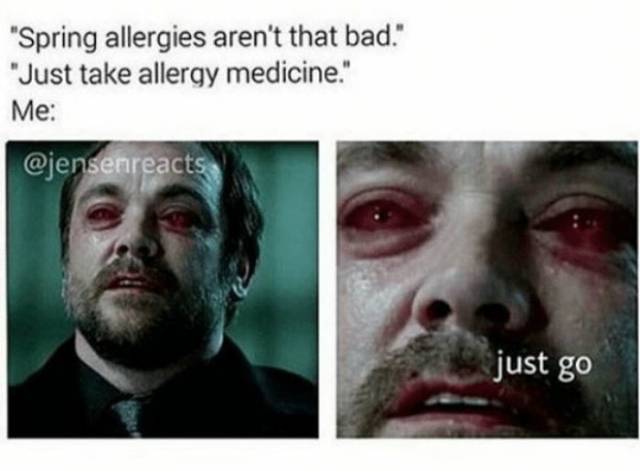 Don’t Sneeze On These Allergy Season Memes