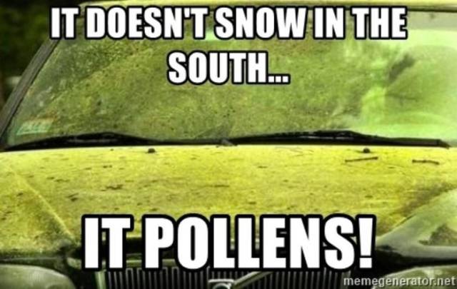 Don’t Sneeze On These Allergy Season Memes