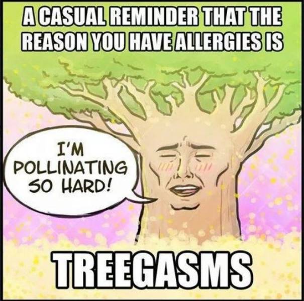 Don’t Sneeze On These Allergy Season Memes