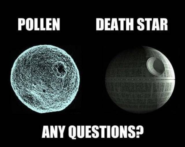 Don’t Sneeze On These Allergy Season Memes