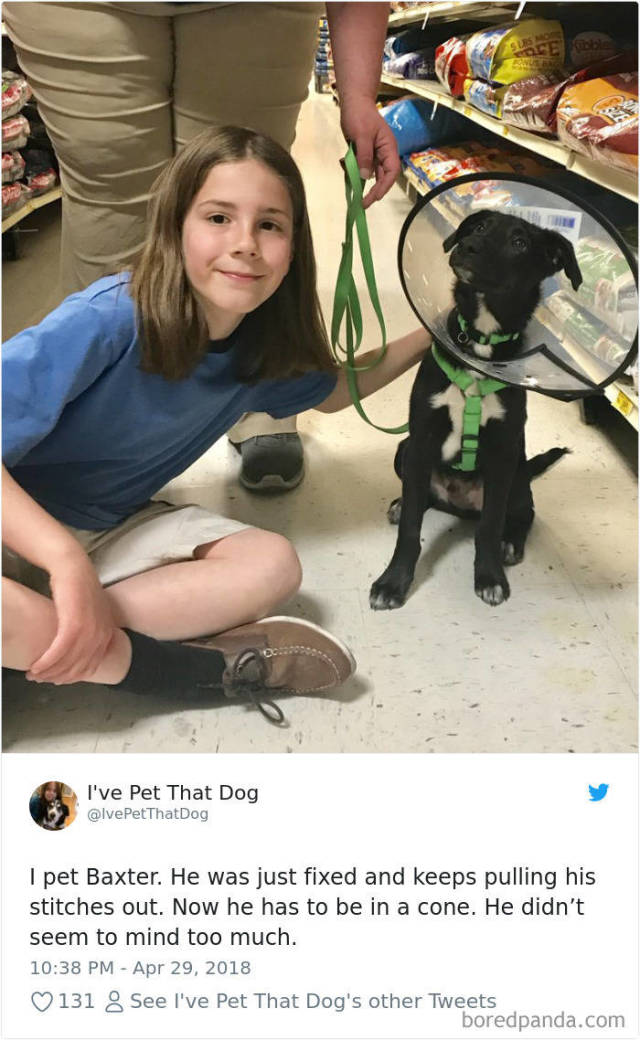 This Boy Might Have Invented The Best Startup Ever