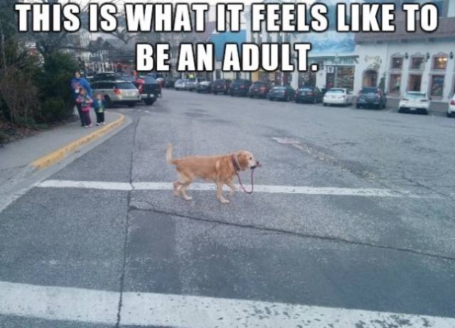 No One Was Ready For Adulting To Be This Hard