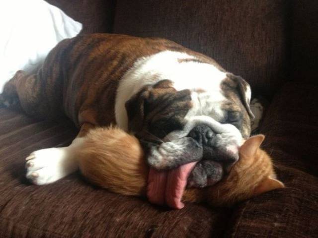 Daily Picdump
