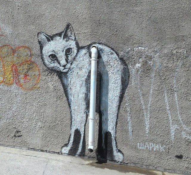 Daily Picdump
