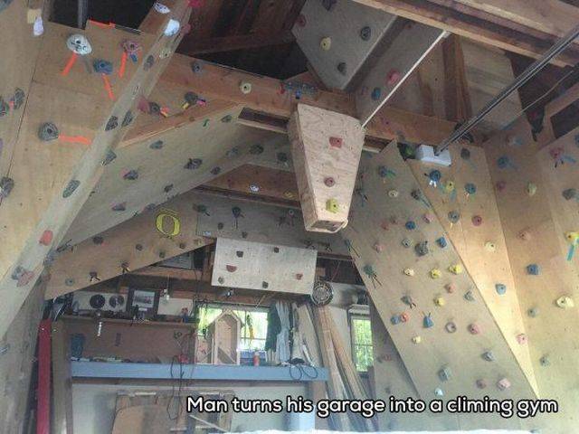 Daily Picdump