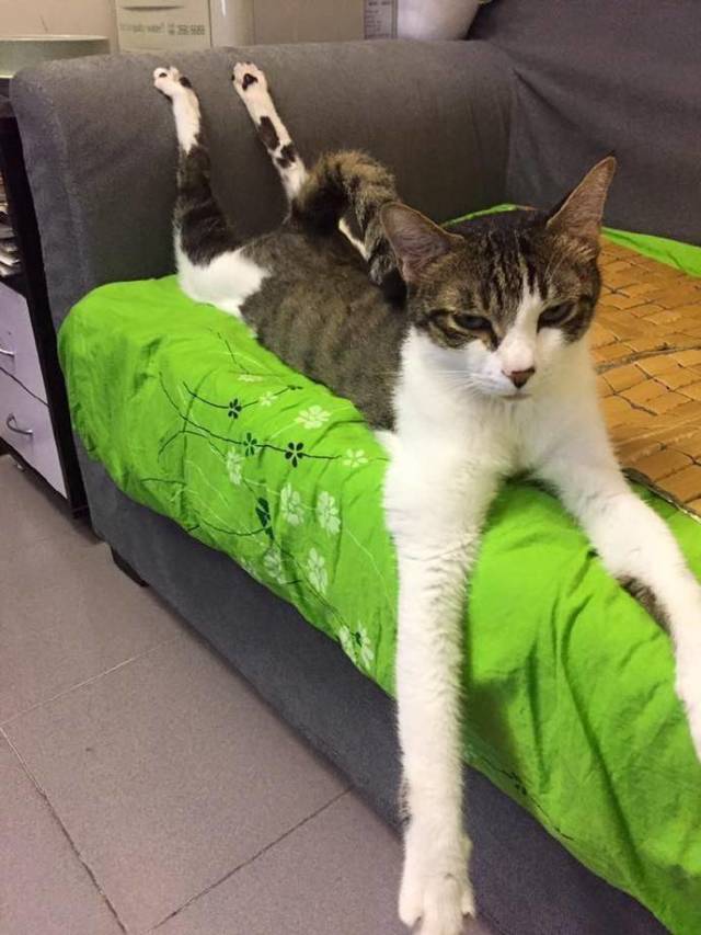 Daily Picdump