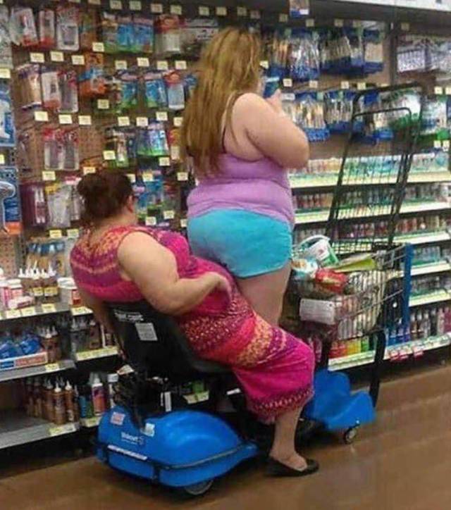 Daily Picdump