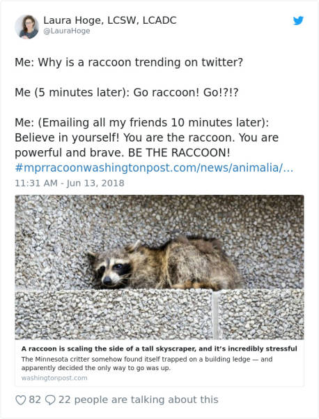 This Skyscraper-Climbing Raccoon Has Just Become An Internet Hero