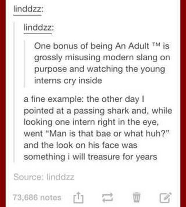 Being Adult Brings New Memes To The Table