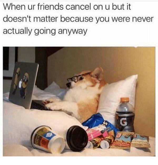 Being Adult Brings New Memes To The Table