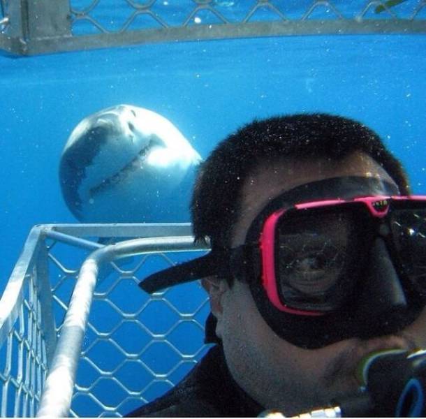 Background Always Has Something Interesting