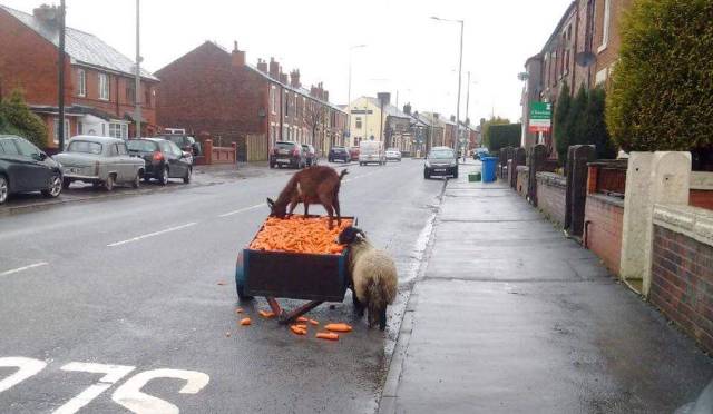 Daily Picdump