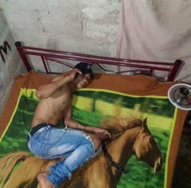 Daily Picdump