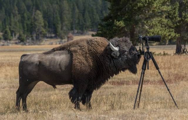 Daily Picdump