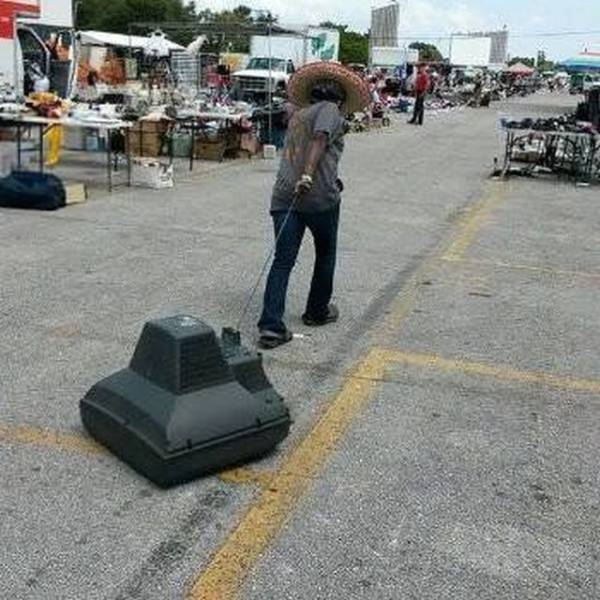 Daily Picdump
