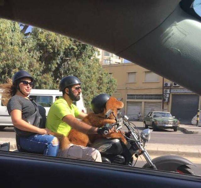 Daily Picdump