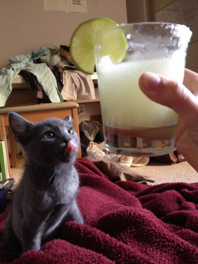 Daily Picdump