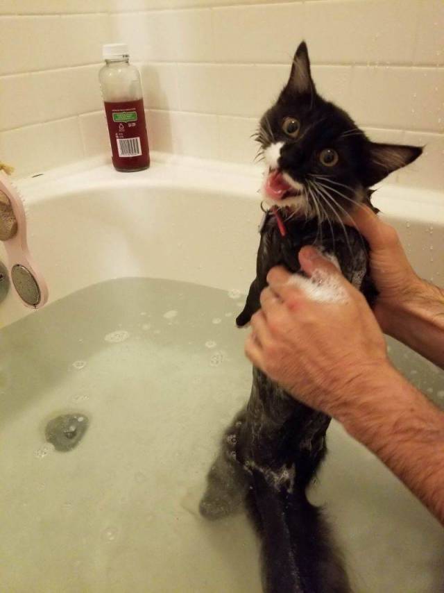 Daily Picdump
