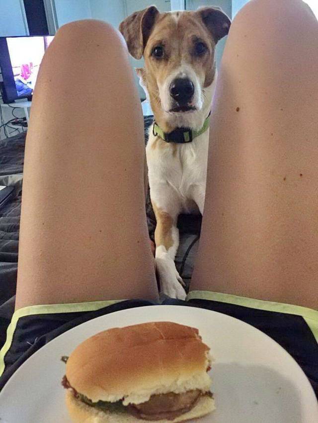 Daily Picdump
