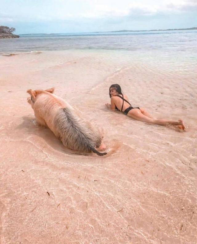 Daily Picdump