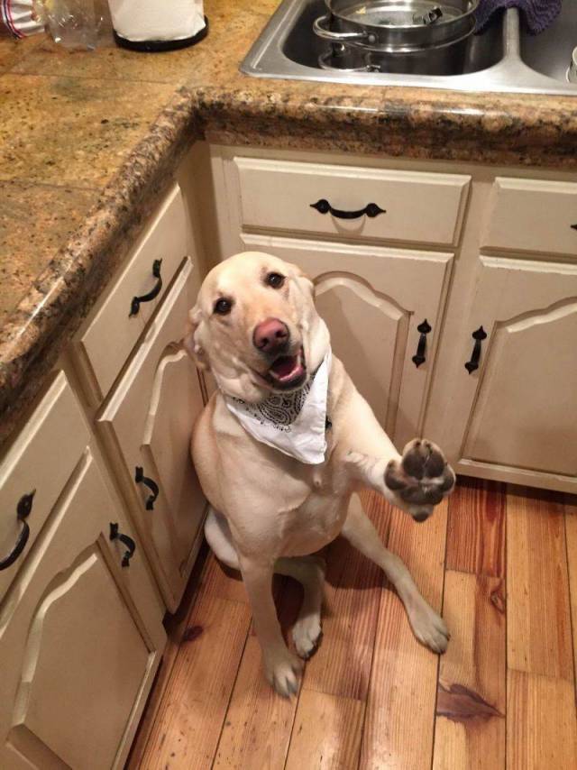 Daily Picdump