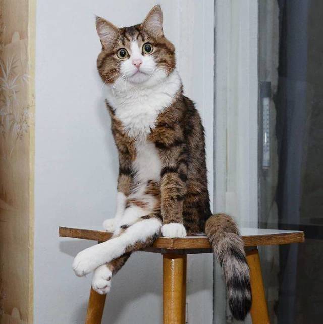 Daily Picdump
