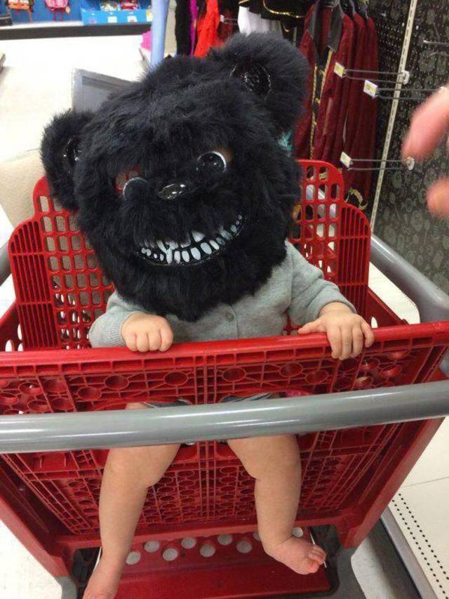 Daily Picdump