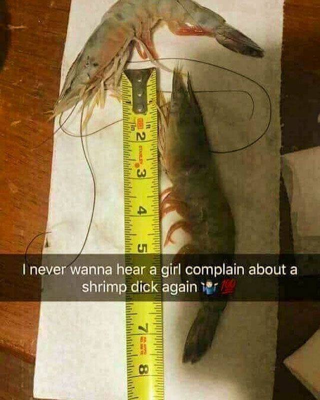 You Won’t Even Try Arguing With This